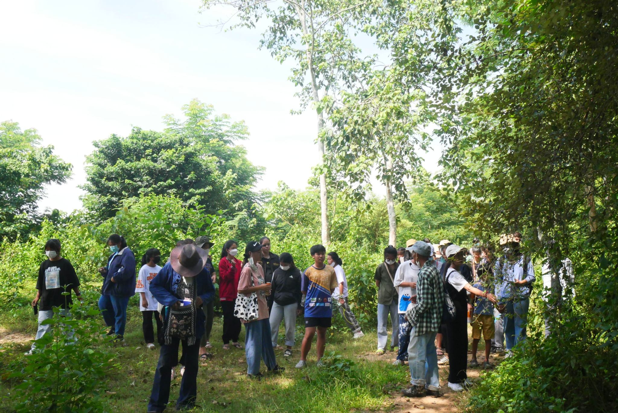 กิจกรรม Mekong Nature Camp